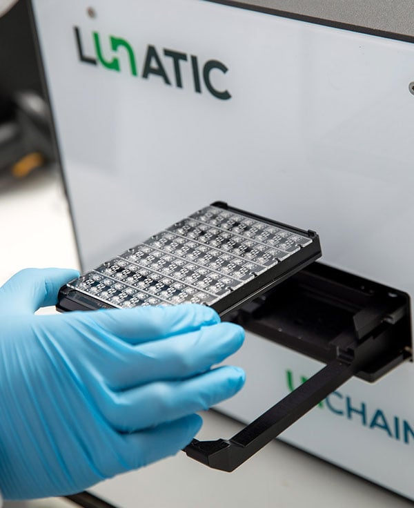 DNA/RNA quantification