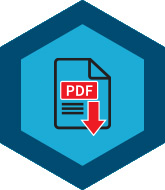 ISO27001 pdf icon